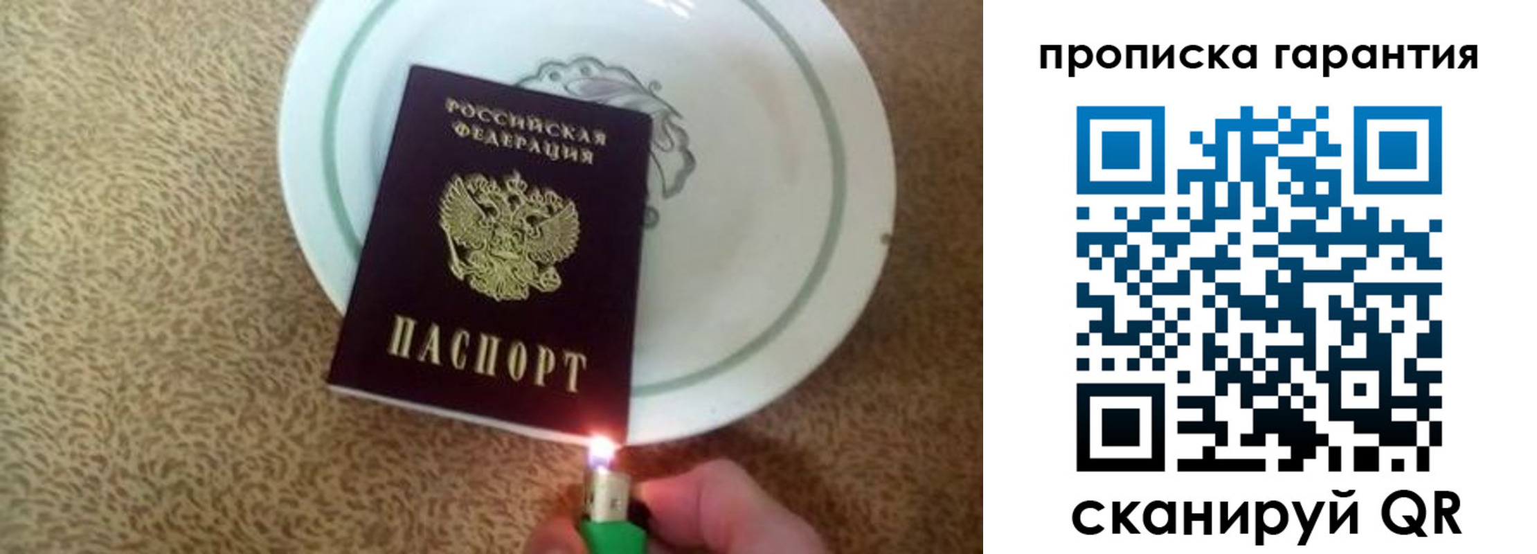 прописка гарантия в Новодвинске